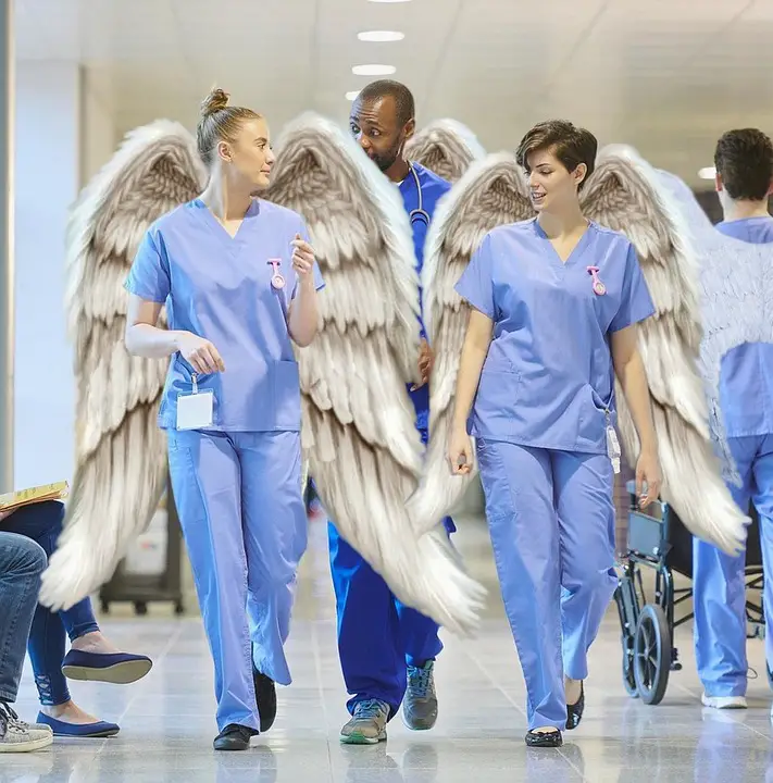 angel nurses. nursing schools