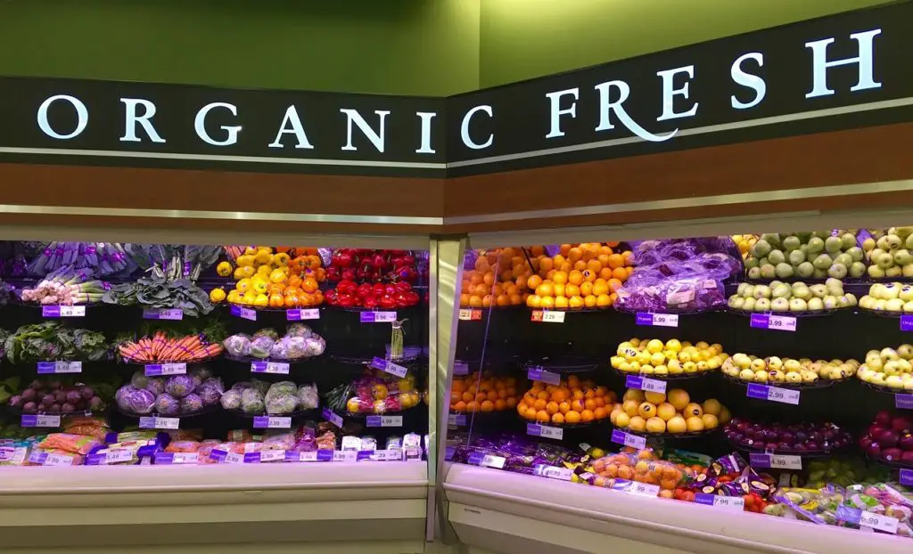 organic-food-small-business