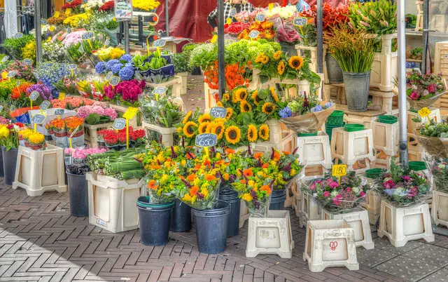 stand-flower-market.local-businesses