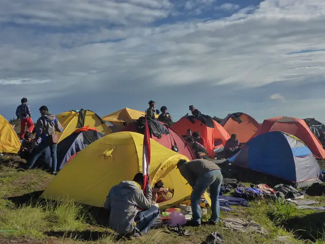 camping and friends