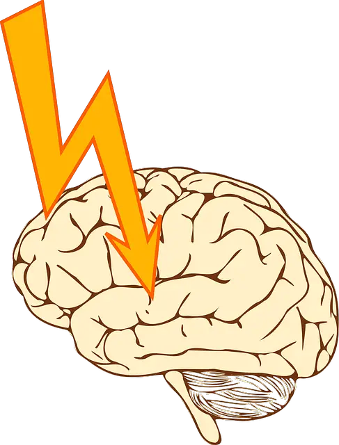 epilepsy seizure stroke