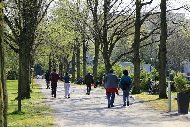 move. walking is good for treating stroke