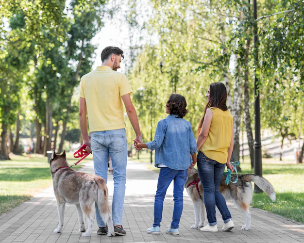 walking back-view-family-with-child-dogs-outdoors-park